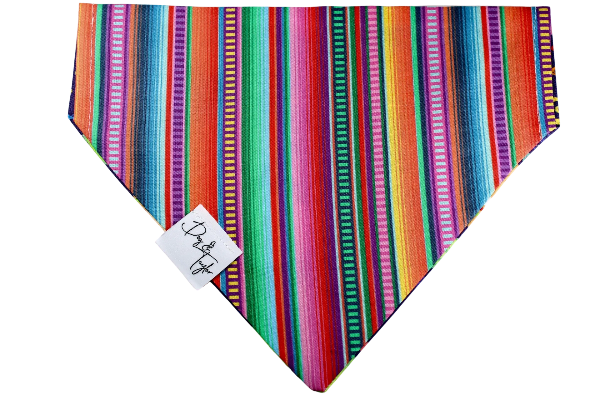 Ay, Chihuahua! Slip-on Bandana, Matching Bow   Collar   Leash (Set of 4)