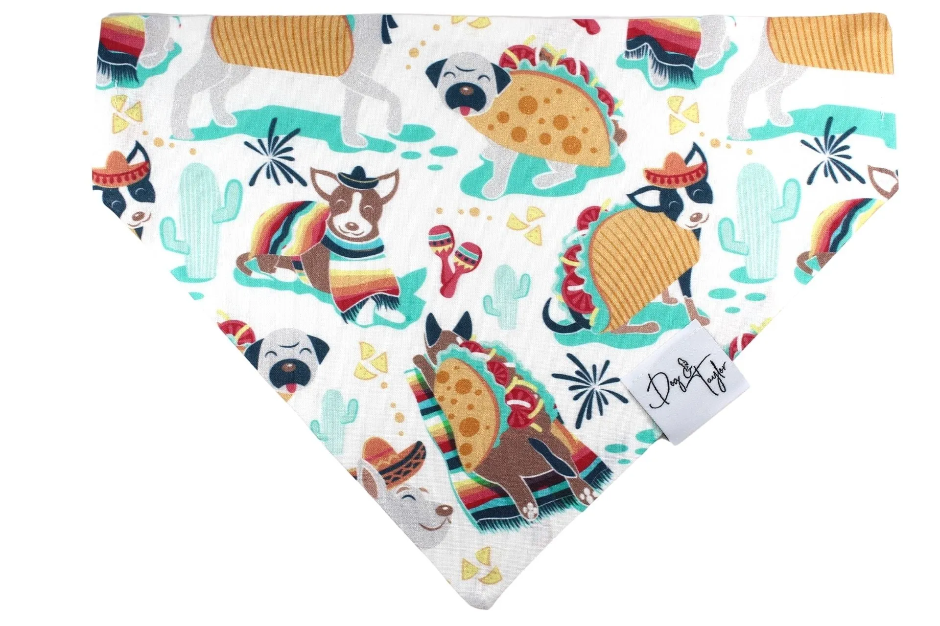 Ay, Chihuahua! Slip-on Bandana, Matching Bow   Collar   Leash (Set of 4)