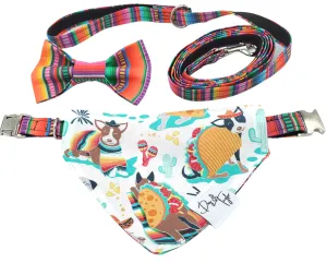 Ay, Chihuahua! Slip-on Bandana, Matching Bow   Collar   Leash (Set of 4)