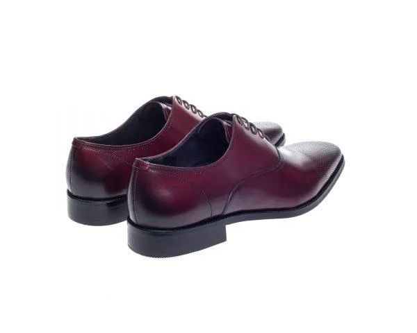 Bay Bordo Capped Oxfords