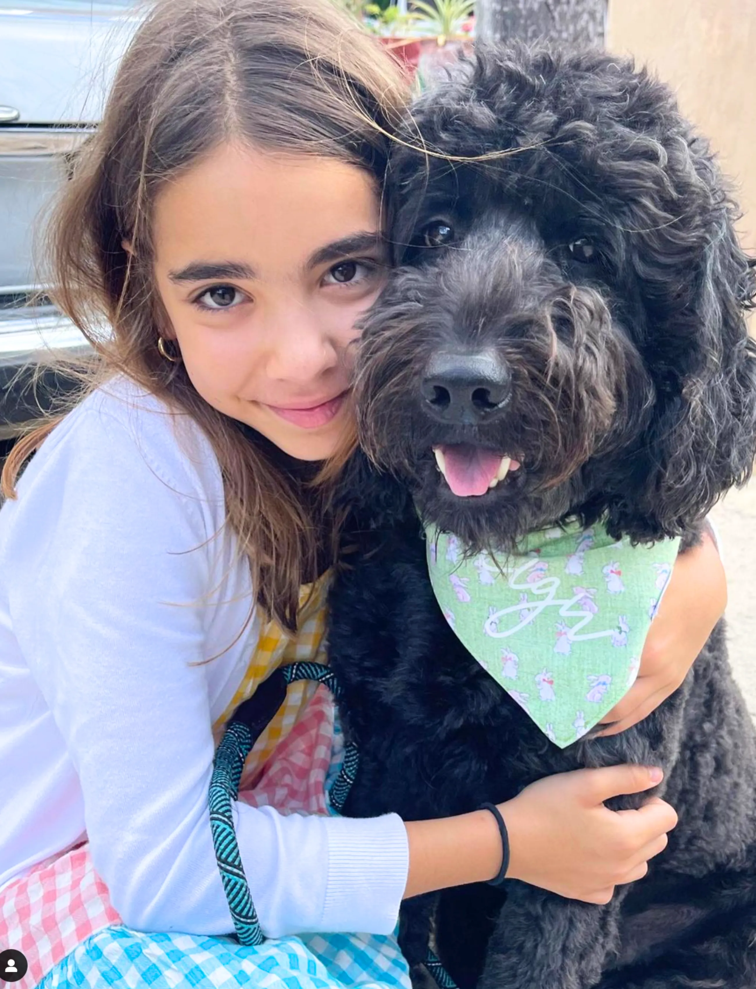 Bows Bunny Slip-on Bandana   Collar