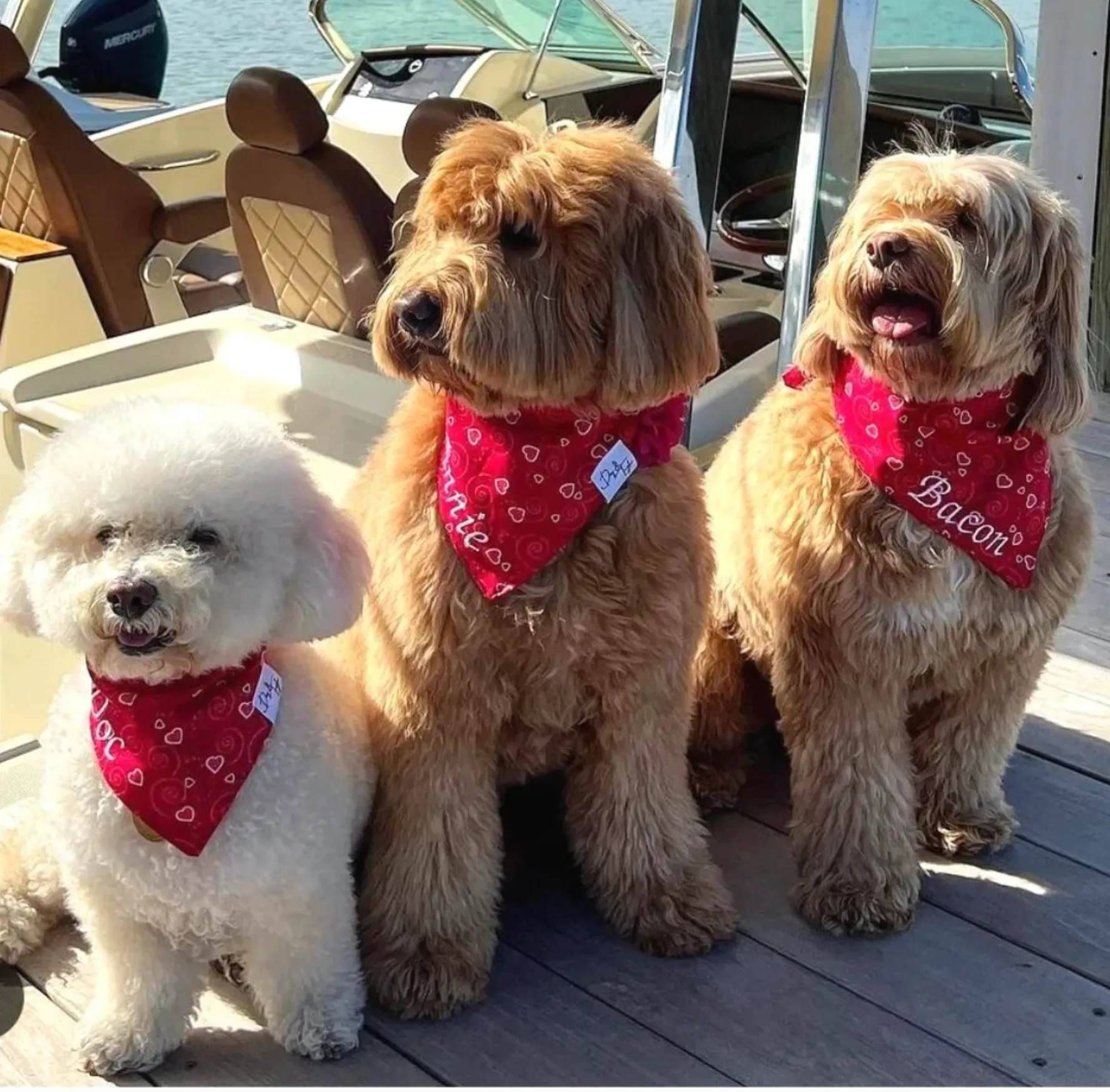 Hearts & Scrolls Dog Bandana