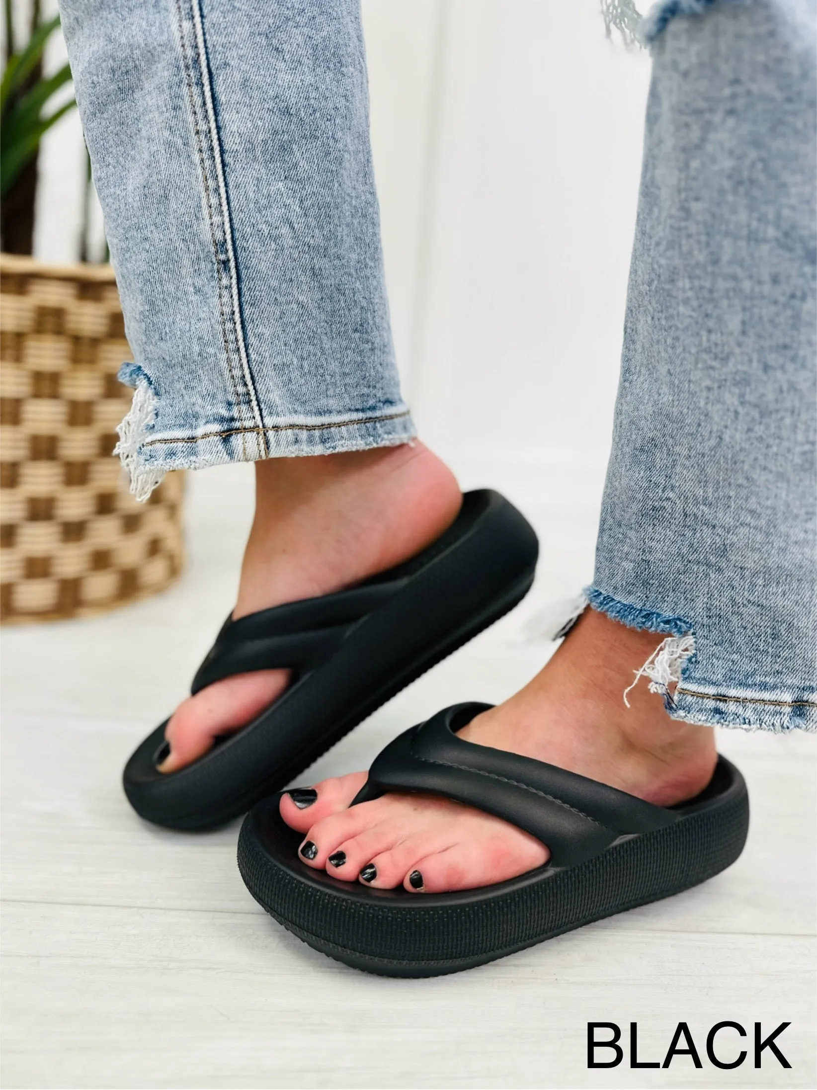 Match My Energy Shoes- Multiple Colors!