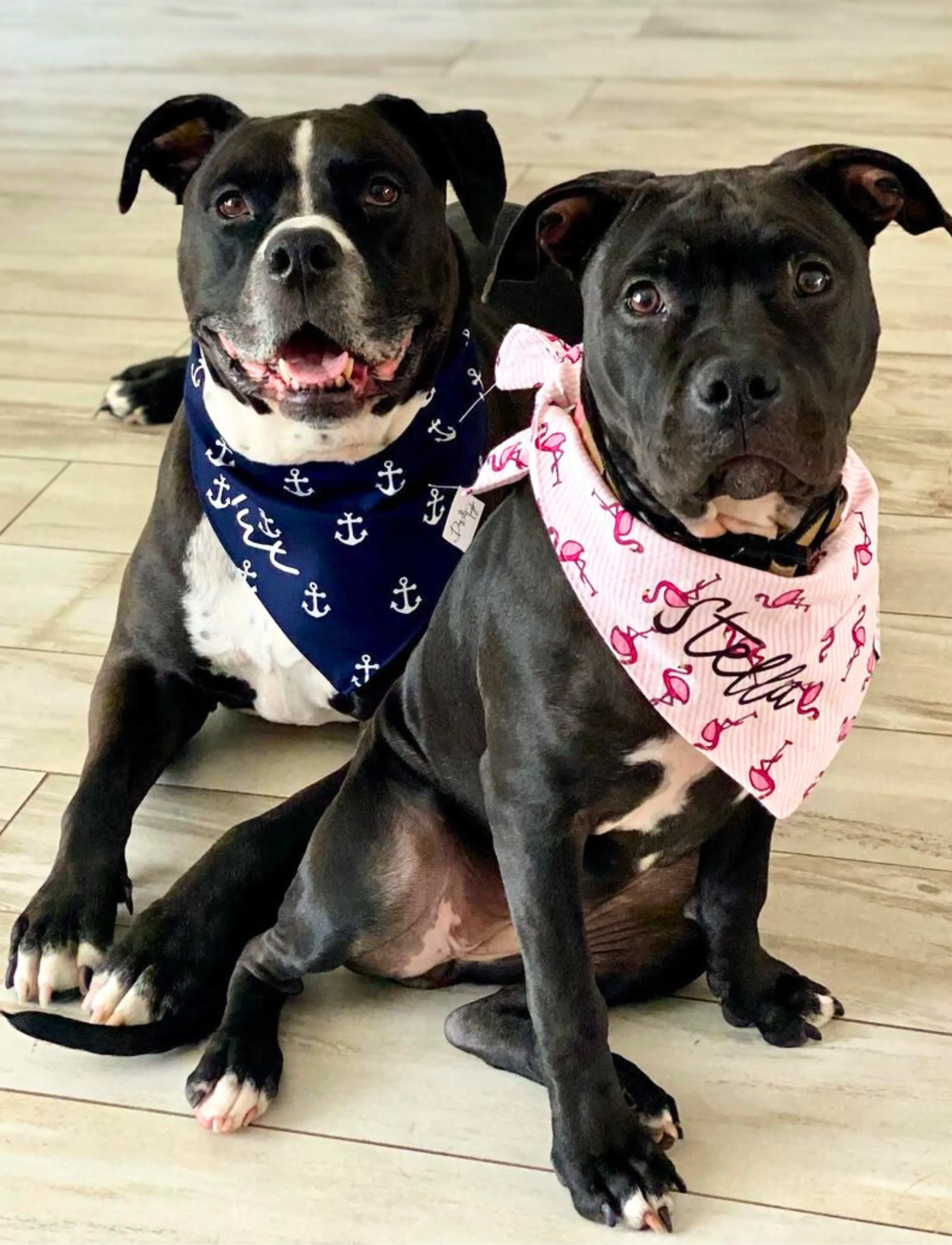 Preppy Flamingos Dog Bandana