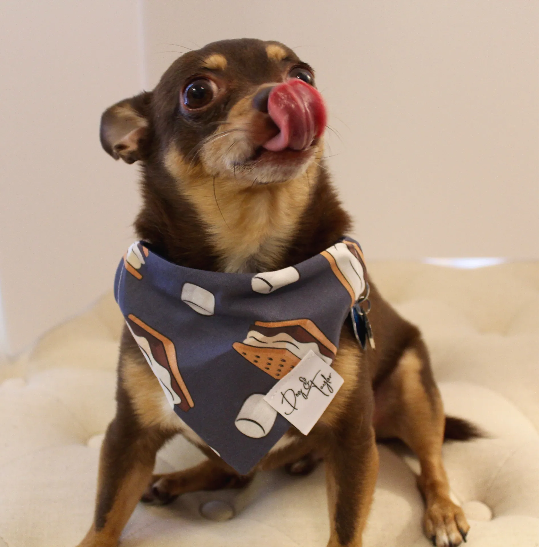 S'Mores Dog Bandana