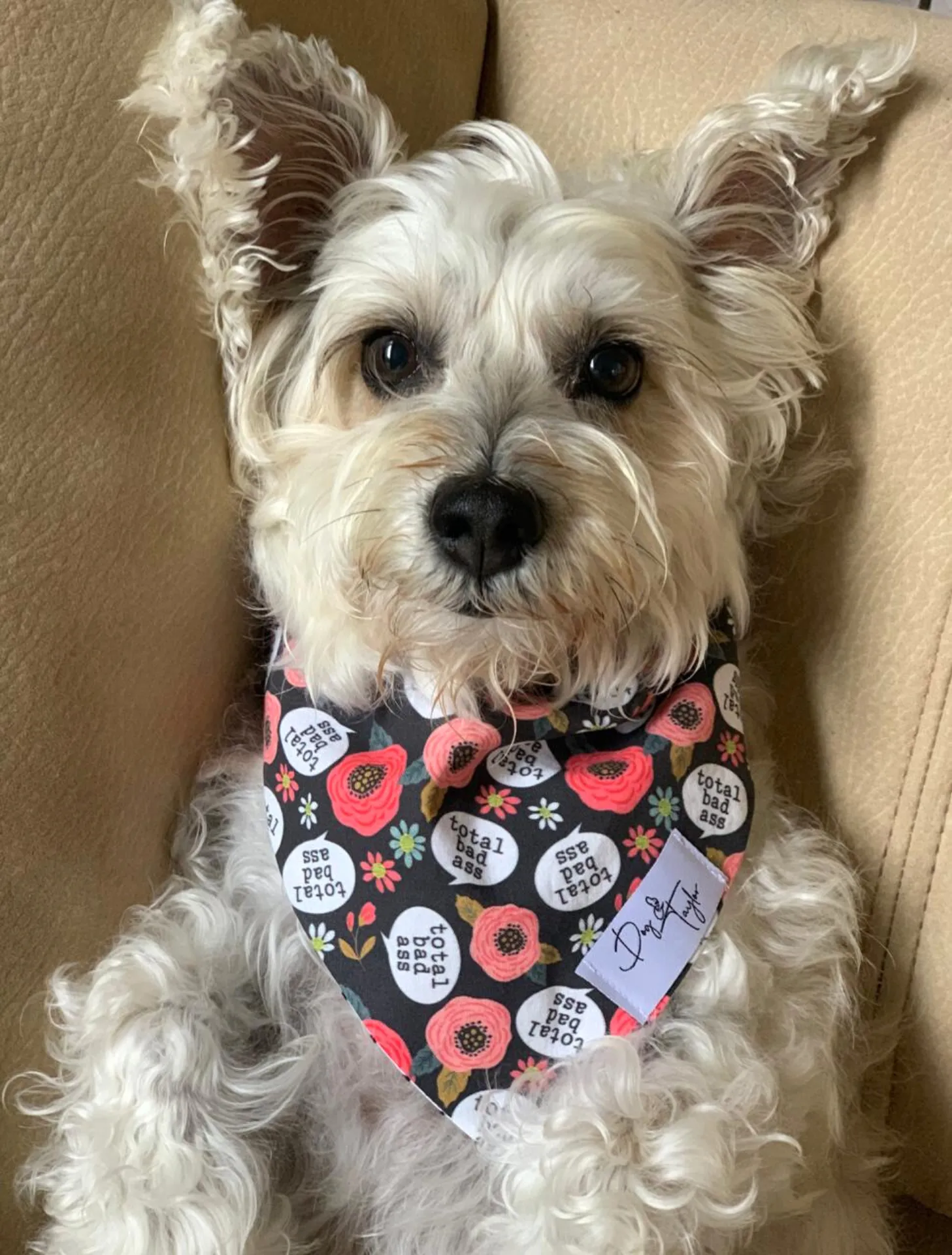 Total Badass Dog Bandana